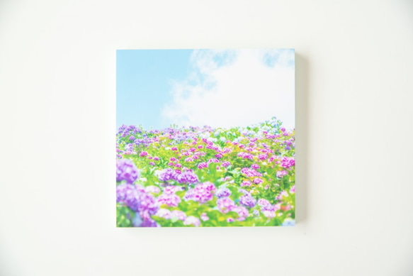 SQU4RE-スクエア-【青空に花】新生活を彩るインテリアフォト 9枚目の画像