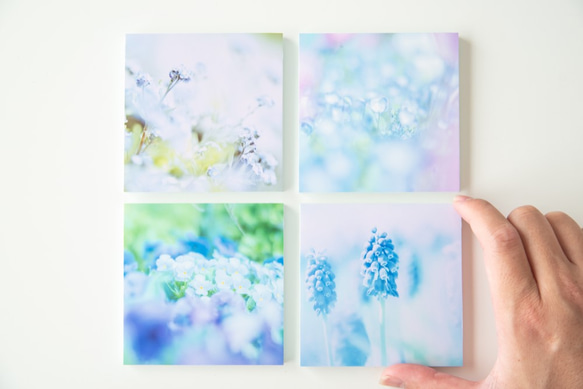 SQU4RE-スクエア-【Blue Flower】新生活を彩るインテリアフォト 1枚目の画像