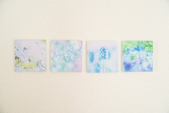 SQU4RE-スクエア-【Blue Flower】新生活を彩るインテリアフォト 3枚目の画像