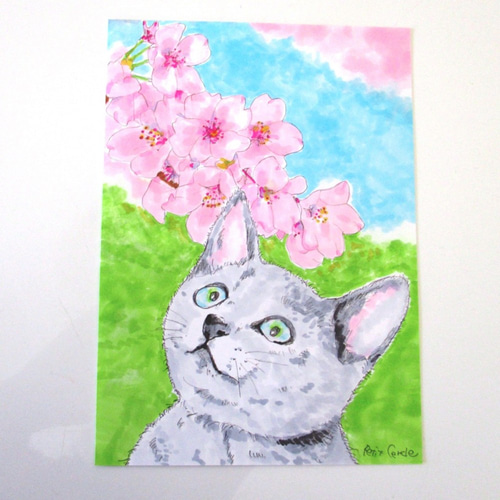 専用　色鉛筆画　原画　オーダーページです ロシアンブルー】ぶーた作 イラスト 色鉛筆 はめよ 原画 手描き 猫
