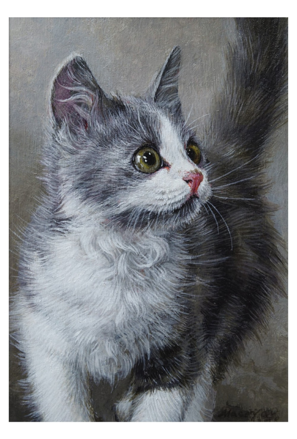 猫のポストカード　５枚セット 3枚目の画像