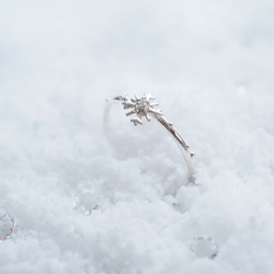 * ~ Snow Crystal ~ * Snow Crystal 戒指和耳夾（銀色）&lt;* Creema Limited& 第2張的照片