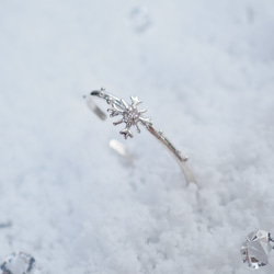 * ~ Snow Crystal ~ * Snow Crystal 戒指和耳夾（銀色）&lt;* Creema Limited& 第7張的照片