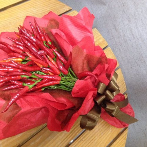 トウガラシ(鷹の爪)のブーケ その他インテリア雑貨 にゃんすけ 通販