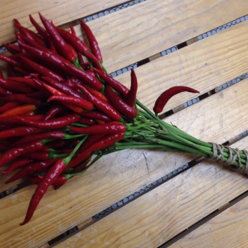 トウガラシ(鷹の爪)のブーケ その他インテリア雑貨 にゃんすけ 通販