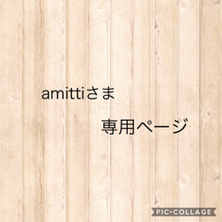 amittiさま専用ページ 1枚目の画像