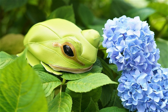 合成皮革製・カエルポーチ 1枚目の画像