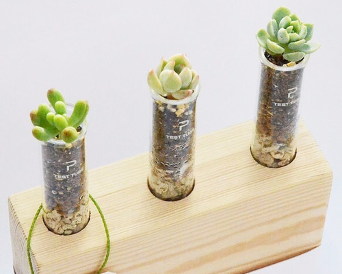 1_56515770b2c2107bec8002684353