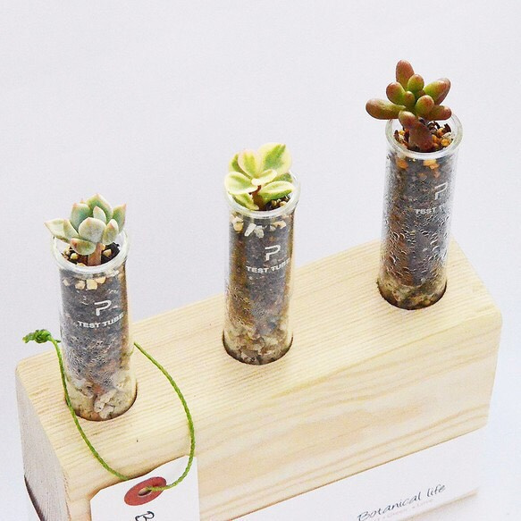 3連タイプ試験管一輪挿し