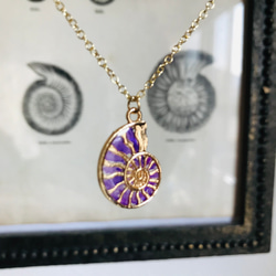 再販✖️ 11  夜の魔術部　海の魔女　紫の巻貝　ネックレス 5枚目の画像