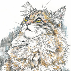 要写真 B5サイズ爬虫類or両生類の水彩スケッチ 絵画 かさ原 茄椅