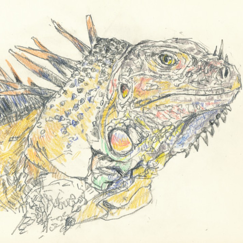 要写真 爬虫類もお描きします。ペットの似顔絵 絵画 かさ原 茄椅