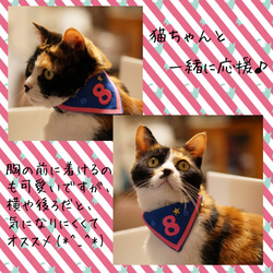 【猫用】ユニフォーム風バンダナ（女子ver） 4枚目の画像