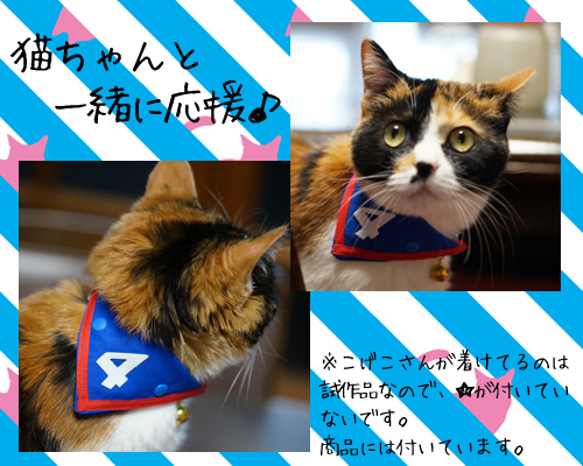 【猫用】ユニフォーム風バンダナ（男子ver） 4枚目の画像
