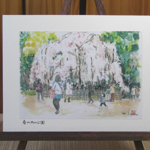 水彩画ミニアート」京都 円山公園のしだれ桜 絵画 京の水彩画 水彩画ミニアート」京都 円山公園のしだれ桜 絵画 京の水彩画