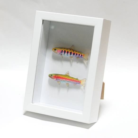 魚のアート/フィッシュフレーム(ヤマメとニジマス) 立体