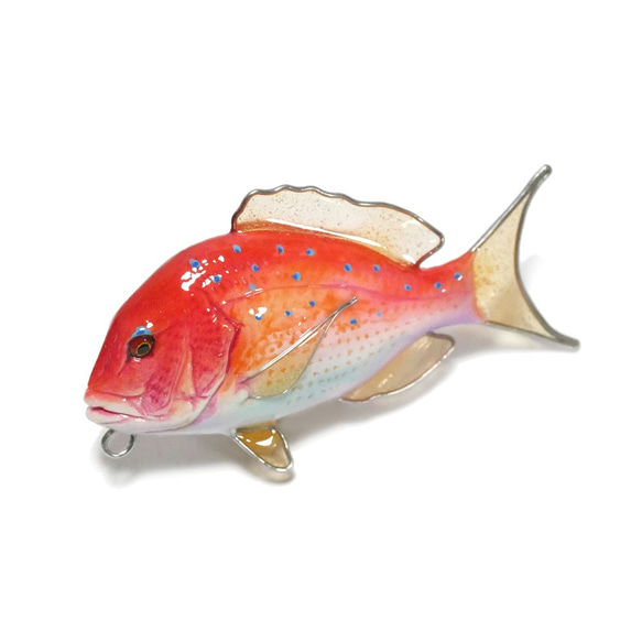 一点モノ ストラト 魚の名前