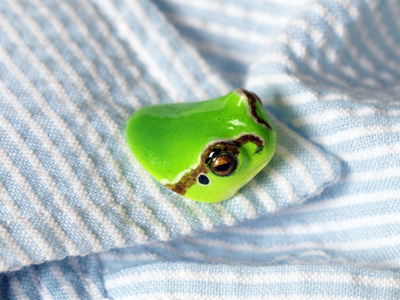 樹蛙頭針徽章 第5張的照片