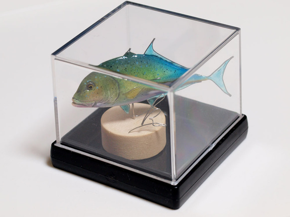 魚のミニオブジェ/ケース入りのカスミアジ 1枚目の画像
