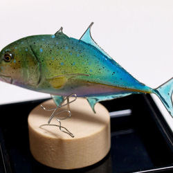 魚のミニオブジェ/ケース入りのカスミアジ 5枚目の画像