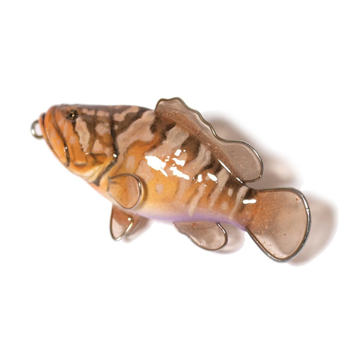 魚のアクセサリー/ホールフィッシュストラップ（クエ） 立体