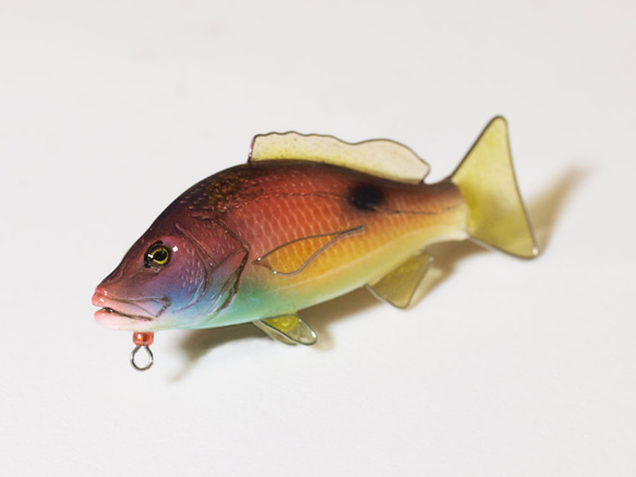 一点モノ ストラト 魚の名前 一点モノ ストラト 魚の名前
