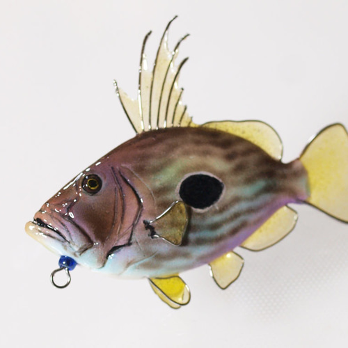 金魚 アクリル樹脂×天然木インテリア 金魚アート 祭 こだわりの 金魚 アクリル樹脂×天然木インテリア 金魚アート 祭 こだわりの