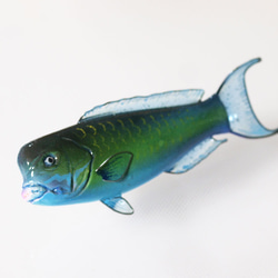 魚のアクセサリー/フィッシュブローチ（ナンヨウブダイ） 1枚目の画像