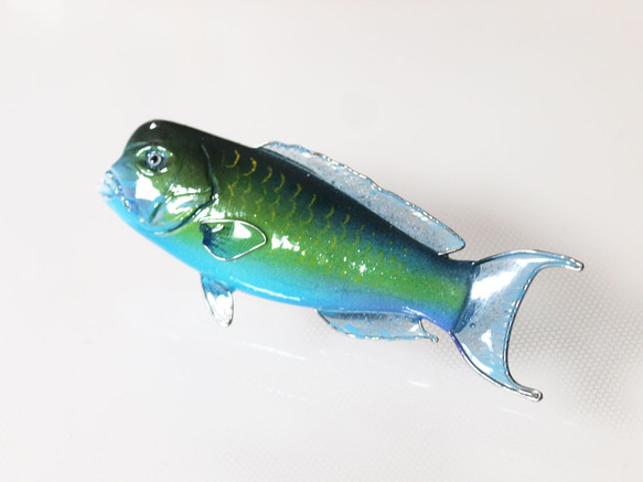 魚のアクセサリー/フィッシュブローチ（ナンヨウブダイ） 4枚目の画像