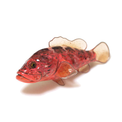 トラウトブローチ（ヤマメ）/魚のアクセサリー ブローチ -kozakanaya