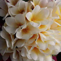 ウェディングブーケ｜アートフラワー（造花）ラウンド　プルメリア ブーゲンビリア　ホワイト×ピンク　 2枚目の画像