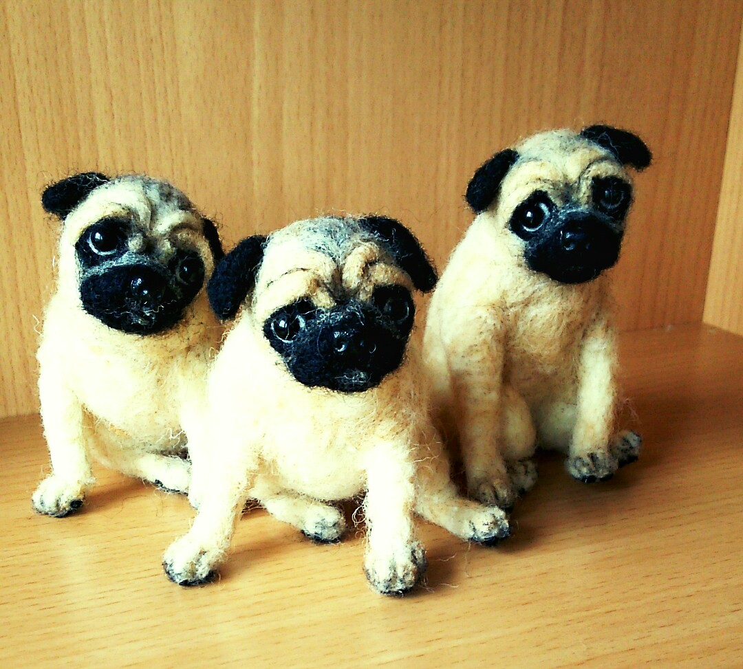 ☆★パグ 三兄弟☆★