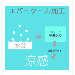 ＊ 2枚セット ＊ 涼しい 夏マスク ＊ こう見えて柄マスク派です ＊ 秘密の花グレー ＊ エバークール 涼感 ひんやり 5枚目の画像