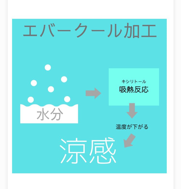 ＊ 2枚セット ＊ 涼しい 夏マスク ＊ こう見えて柄マスク派です ＊ 秘密の花グレー ＊ エバークール 涼感 ひんやり 5枚目の画像