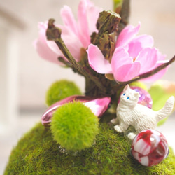 桜の木の下の白猫ちゃん　フェイク苔玉アレンジ 2枚目の画像