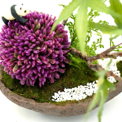 アリュームとパンダの舟形フェイク盆栽 2枚目の画像