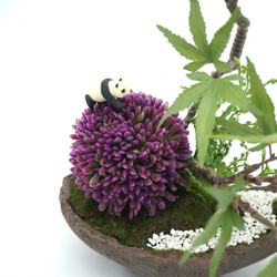 アリュームとパンダの舟形フェイク盆栽 3枚目の画像