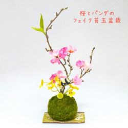 【まめぴよ様専用】再販・桜とパンダのフェイク苔玉盆栽 1枚目の画像