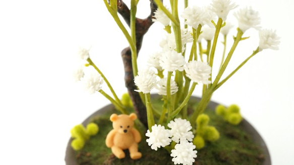 【推薦老年人節禮物】熊貓草的Kuma  -  san和迷你假盆景（人工花）熊卡瑪的CT催化排列 第3張的照片