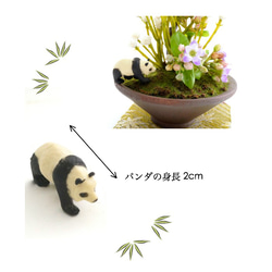 青紅葉 かすみ草 カランコエとパンダのミニフェイク盆栽 （造花） 2枚目の画像
