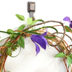 鐵線蓮簡單的花圈門花圈夏天紫色人造花日本花圈日式簡單 第2張的照片