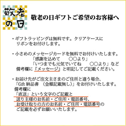 【☆敬老の日ギフトに！ラッピング無料】フェイク盆栽とガーゼ手ぬぐい2個セット 4枚目の画像