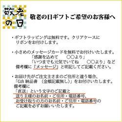 【 敬老の日ギフトに！ラッピング無料】フェイク盆栽とガーゼ手ぬぐい2個セット 4枚目の画像