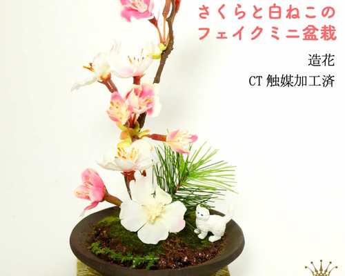 0_915325eddd432121d20e8ebcc0ff