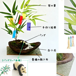 再販【 七夕 】笹の葉とパンダのフェイク盆栽 短冊10枚つき 造花 たなばた 笹 2枚目の画像