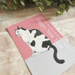 年賀状用ポストカード「うしがらねこさん」5枚セット 3枚目の画像