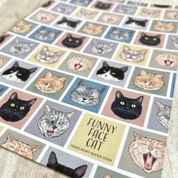 FUNNY FACE CAT　レターセット 5枚目の画像