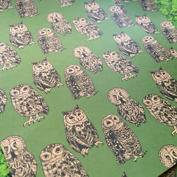 森のフクロウたち レターセット 4枚目の画像