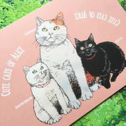 アリスのかわいい猫たち ポストカード４枚セット 3枚目の画像