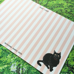 アリスのかわいい猫たち ポストカード４枚セット 4枚目の画像